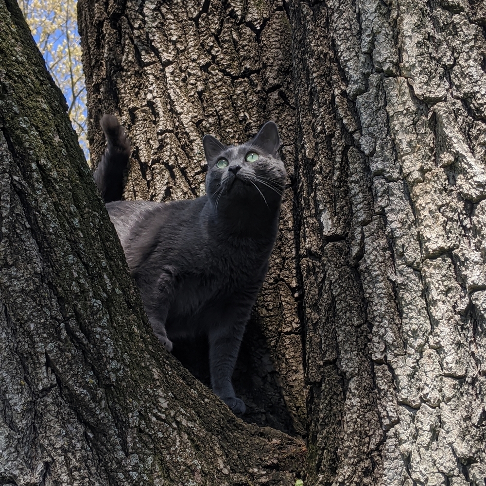 Meet your Posher, Lilli